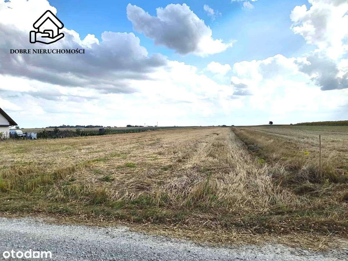 10 arów - spokojna okolica w sąsiedztwie lasu. - Pełny obrazek: 4/5