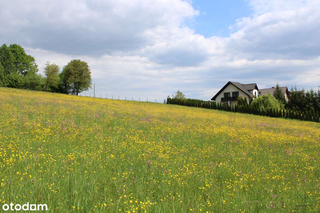 Kobylec (gm. Łapanów) - działka budowlana z ładnym widokiem!-8