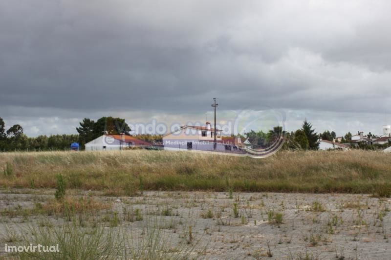 Lotes para construção em Marinhais  (M422)