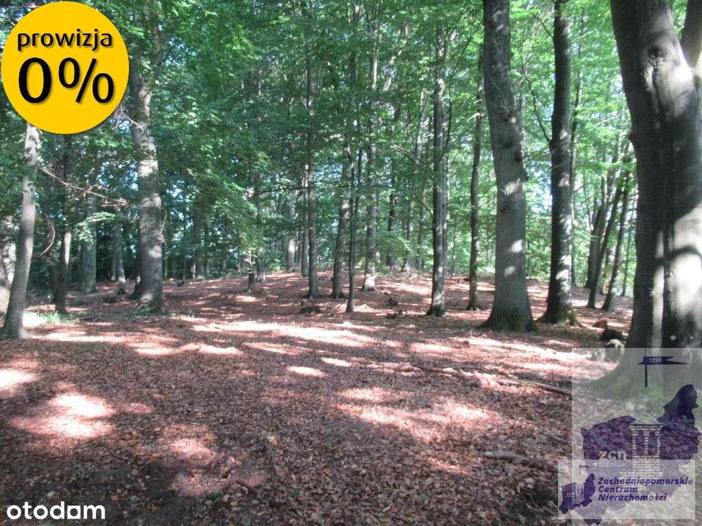 Działka nad jeziorem Woświn-4