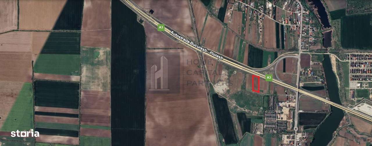 Teren 2727mp | Moara Vlasiei, Caciulati | A3 - Imagine principală: 1/4