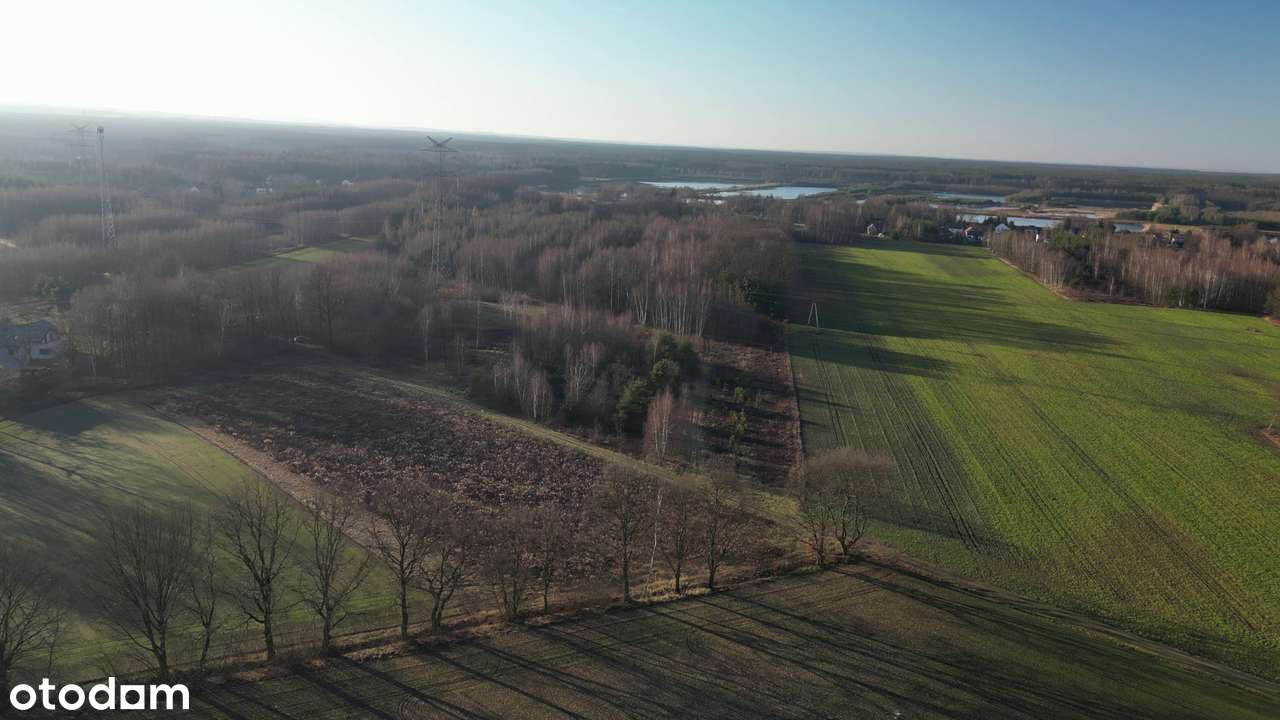 Sąsiedztwo jezior i lasów-2