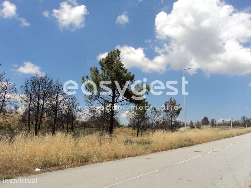 Lote na Zona Industrial de Alijó - Grande imagem: 2/11