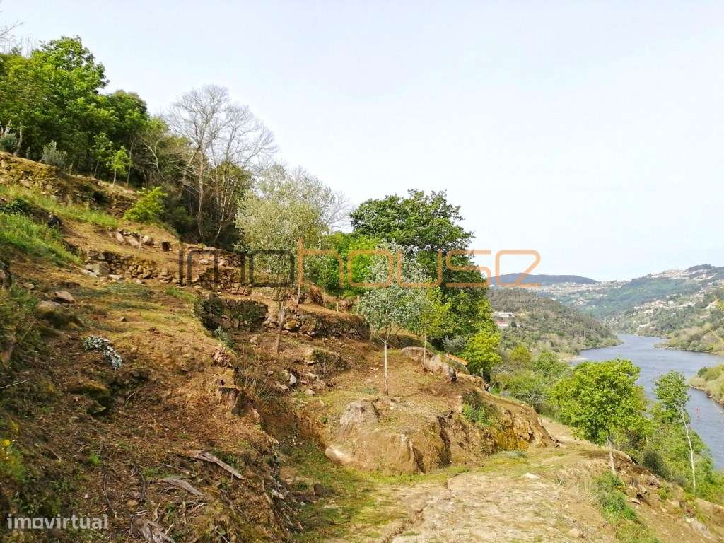Quinta com frente de Rio Douro-20