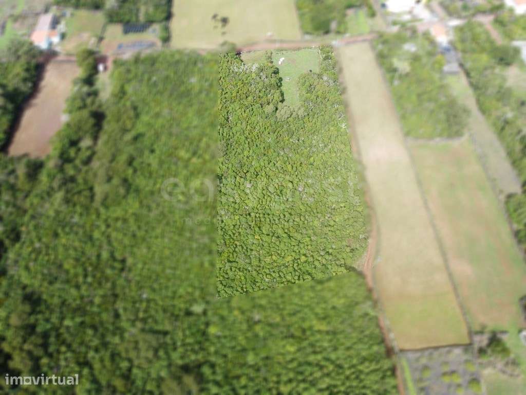 Terreno com vista para a Montanha do Pico na Freguesia das Bandeira... - Grande imagem: 4/16