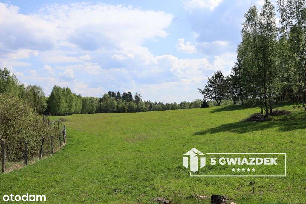 Działki rolne-piękne tereny doskonałe na siedlisko - Pełny obrazek: 4/20