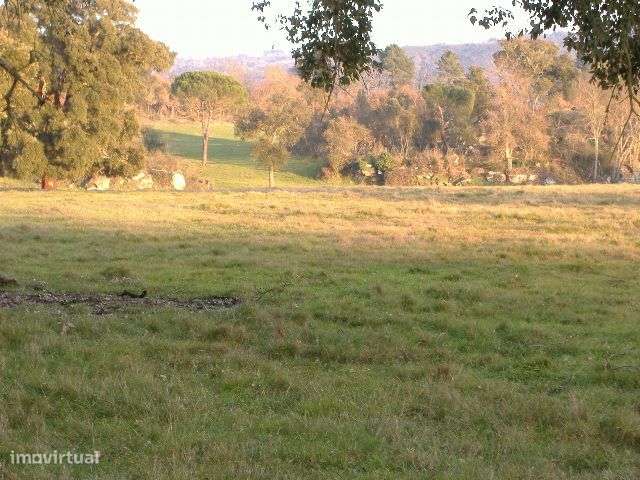Quinta em Chaves Terreno 50 Ha (500 mil M2) Construção 1.593 m2-19