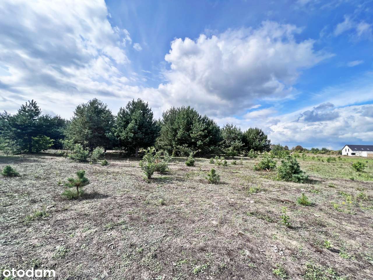 Wyłączność najtańsze działki z WZ w Z.Górze-5