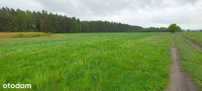 Działki 1000 m2 z możliwością uzbrojenia