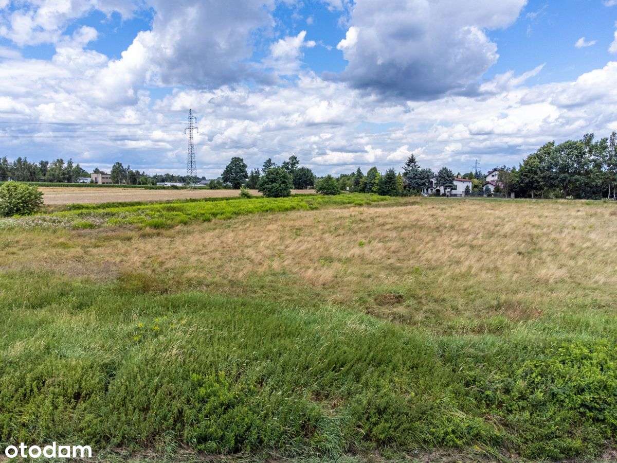 Sprzedam Duży Teren Rolny 1,5ha Żory Baranowice-9