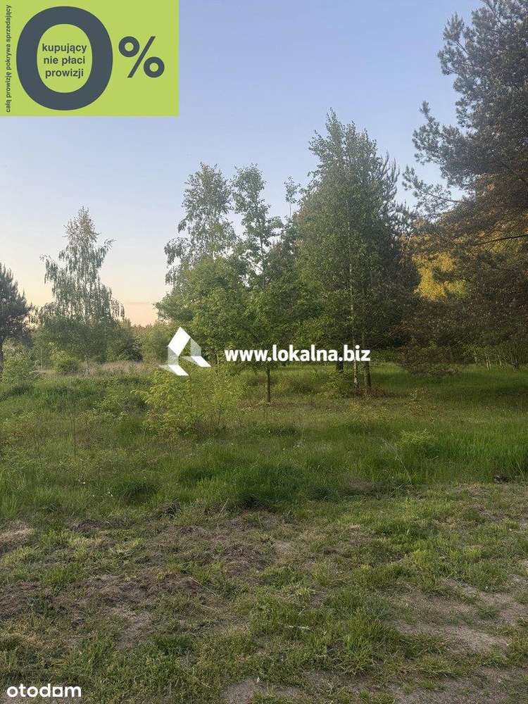 Wyjątkowa Działka Budowlana W Otulinie Lasu - Pełny obrazek: 4/10
