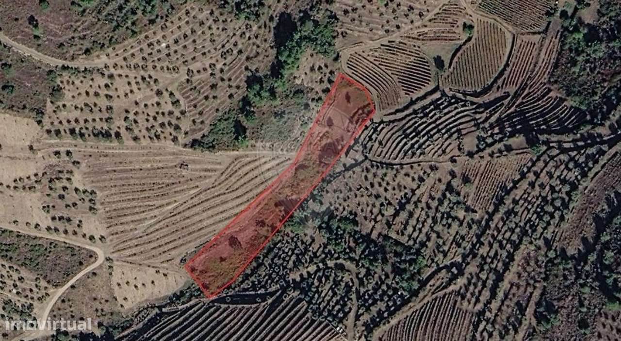 Terreno  para venda-0