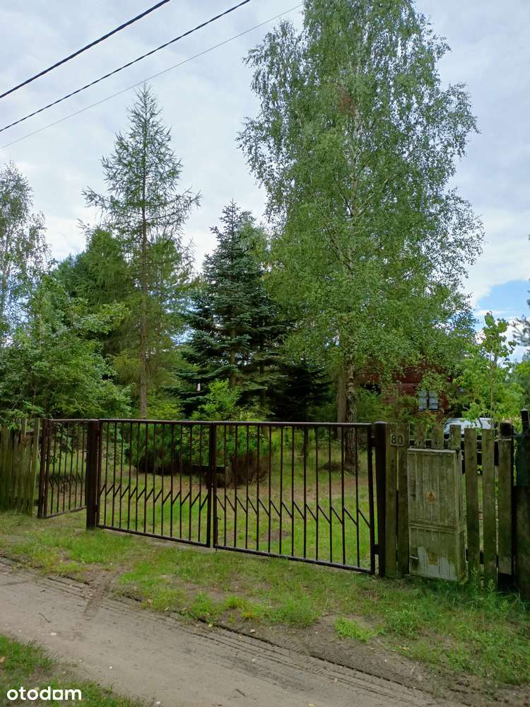 WYJĄTKOWA DZIAŁKA REKREACYJNA Z GOTOWYM DOMKIEM – BLISKO WARSZAWY! - Pełny obrazek: 5/5