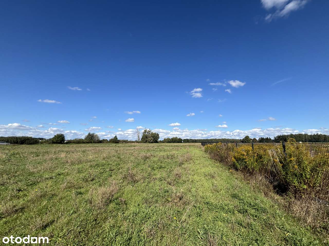 Działki budowlane pod lasem w Ceradzu Dolnym - Pełny obrazek: 5/9