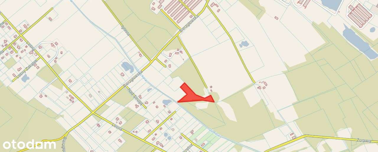 Wśród natury - las.. łąki.. i szybki dojazd do Torunia i Bydgoszczy-9