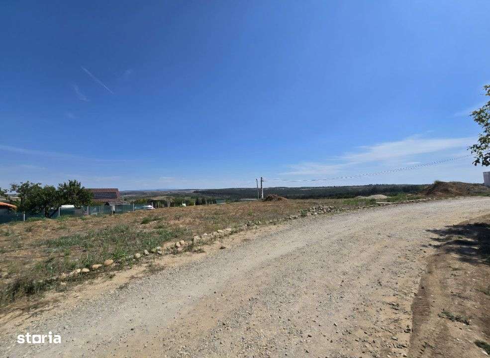 Teren Paleu Intravilan - Imagine principală: 2/6