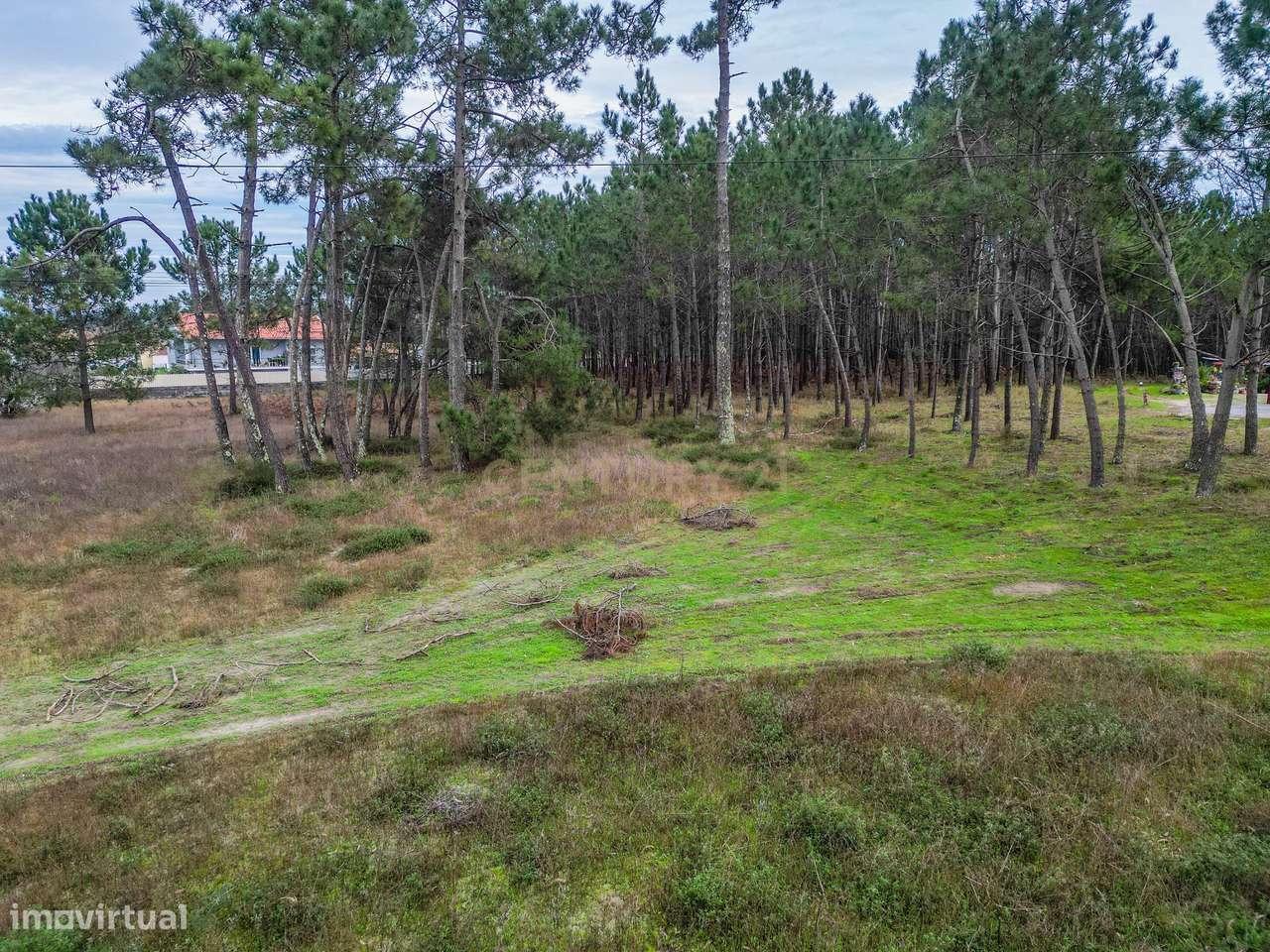 Terreno Misto com Potencial Construtivo em Moinhos da Gândara – Figuei-16