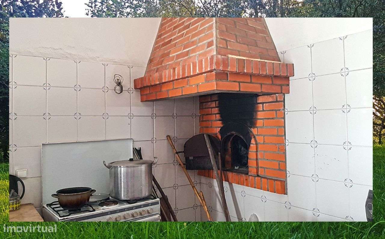 Quintinha com Mata secular-17