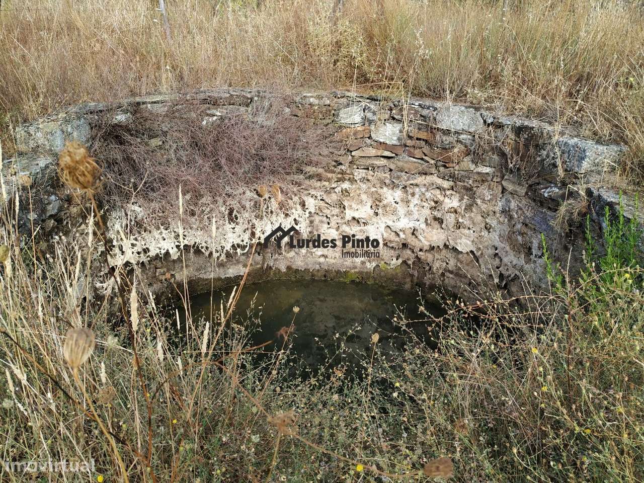 Quinta perto de Castelo Branco-22
