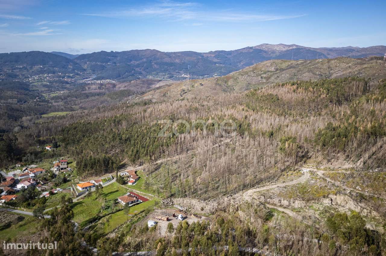 Terreno Rústico c/ 13.385 m²|Rua de Cancelos, S. J. Rei, Póvoa Lanh... - Grande imagem: 5/22