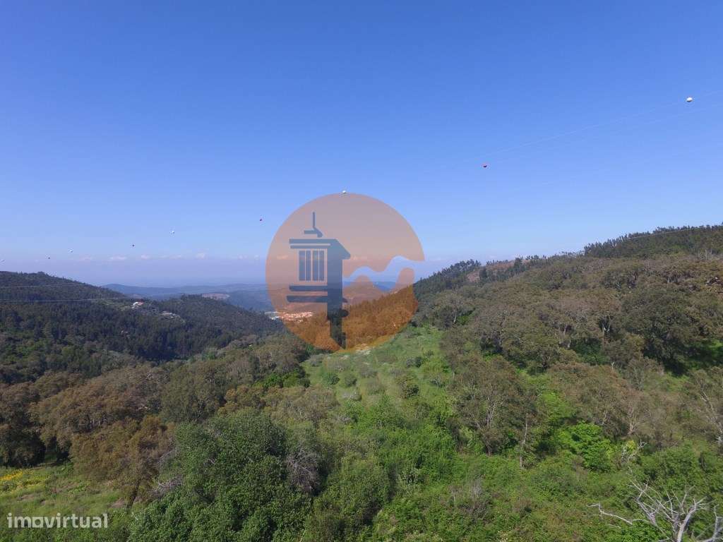 Terreno. Rustico - Grande imagem: 4/16