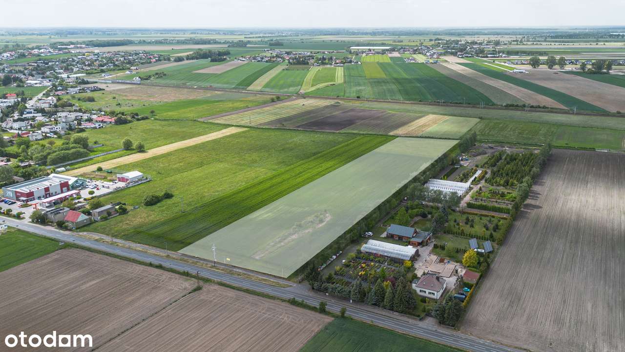 Działki Stare Tarnowo / Czempiń - 180zł/m2 - Pełny obrazek: 3/4