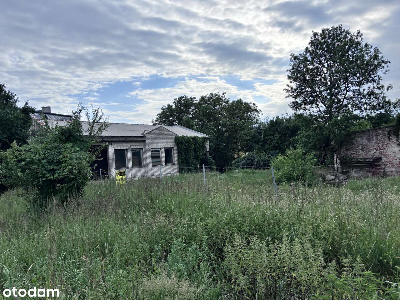 3 działki w centrum Łobza - Pełny obrazek: 5/5