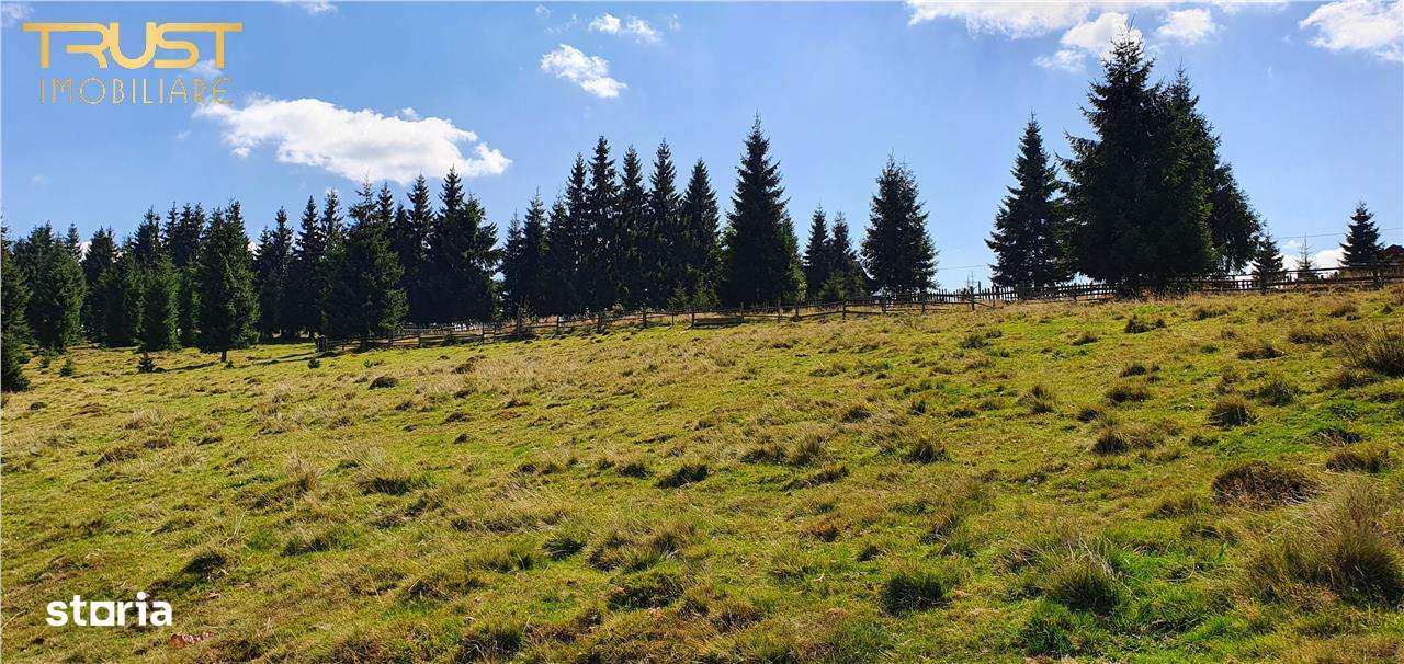 Oportunitare | Teren 1350 mp cu PUZ | Belis-9