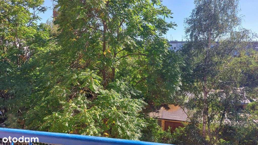 Sudecka-46m2-Rozkład-3pok-Balkon-Miejskie-piwnica. - Pełny obrazek: 5/7