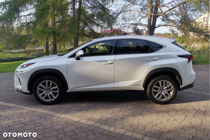 Lexus NX 300h E-FOUR Business Line - 2