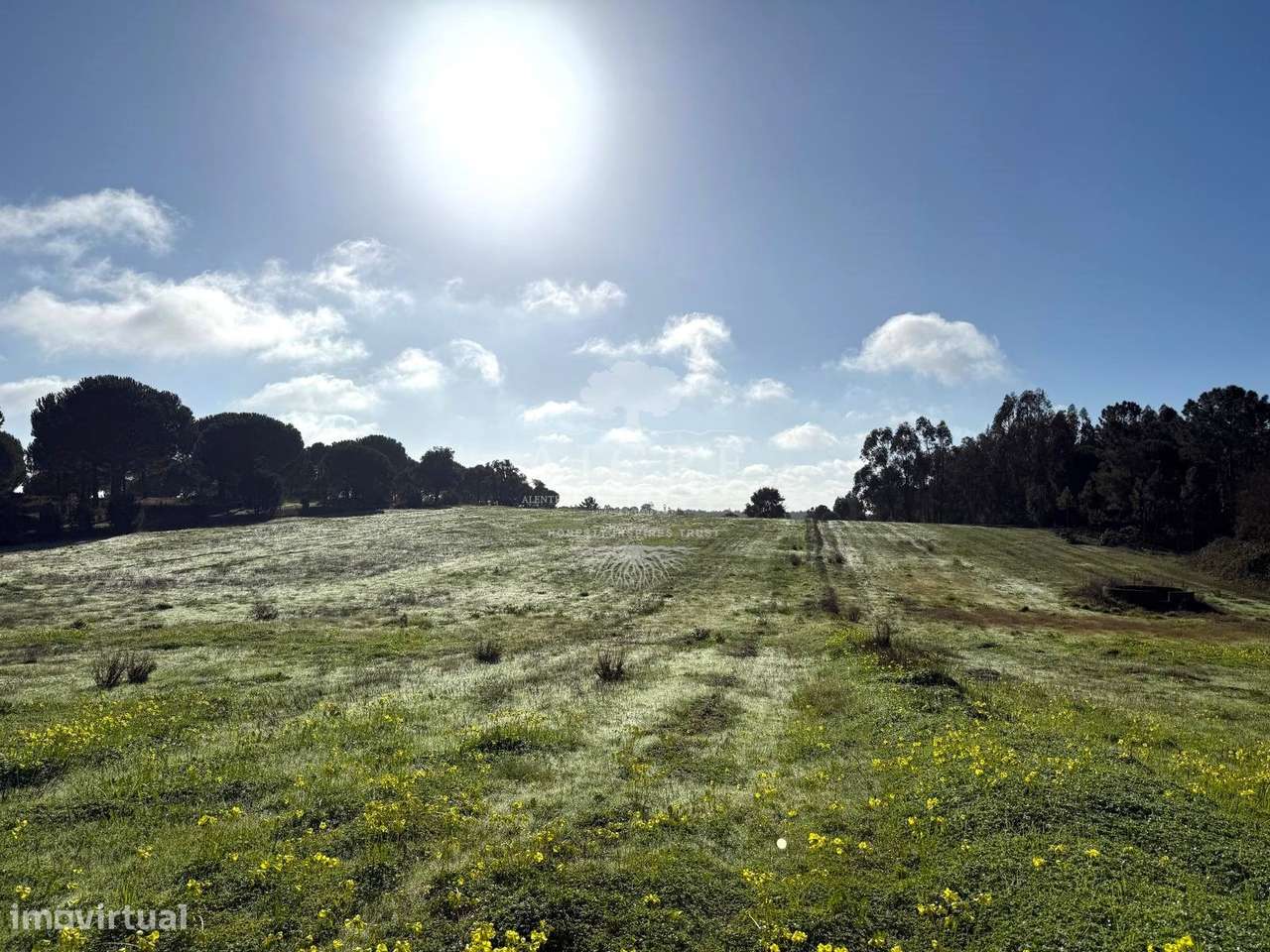 Excelente oportunidade de investimento em Canha – Montijo - Grande imagem: 2/24