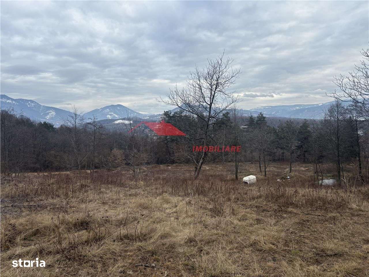 Teren cu 2 izvoare,  Prundul Bargaului - Imagine principală: 5/10