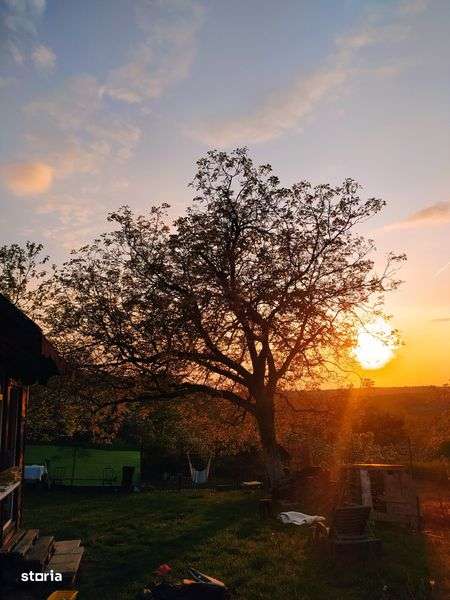 Teren intravilan - Imagine principală: 5/8