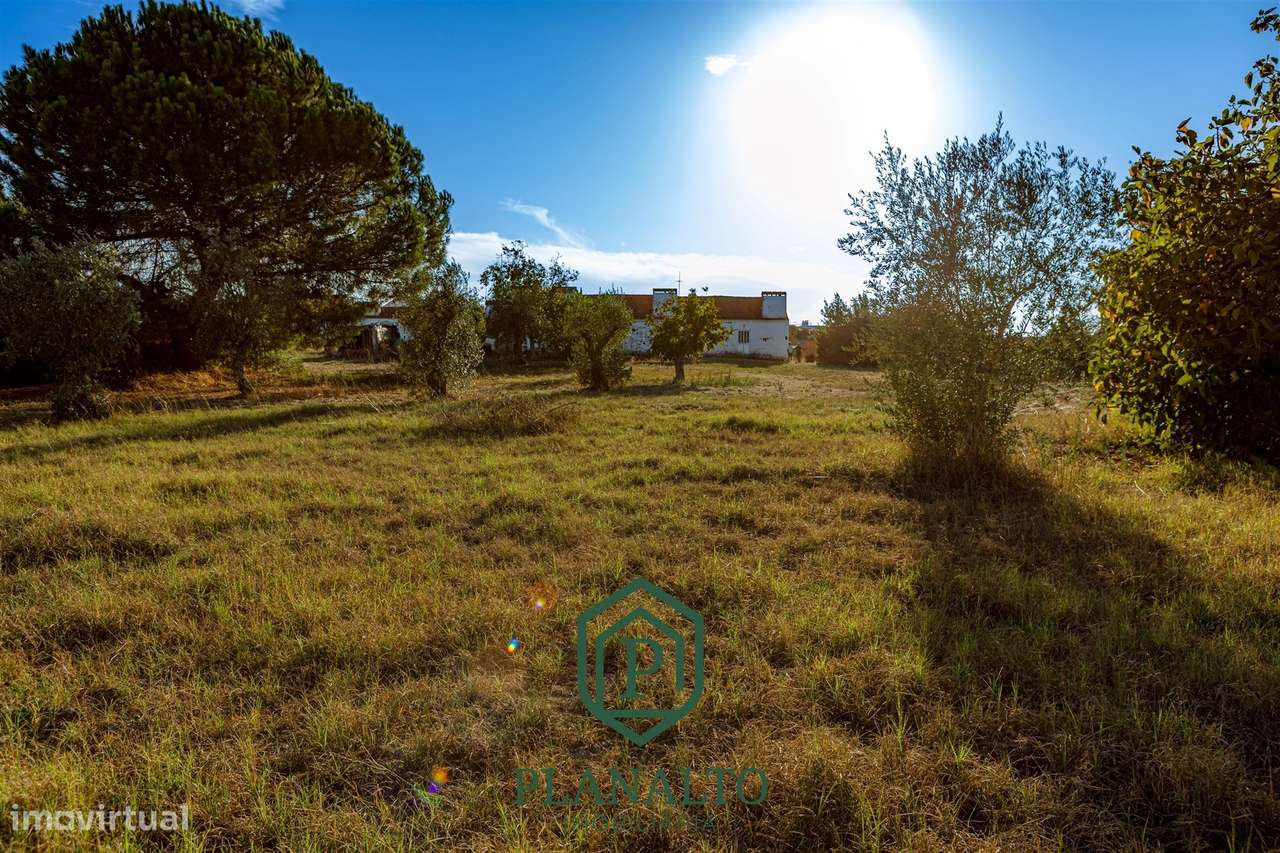 Quinta  Venda em Cortiçadas de Lavre e Lavre,Montemor-o-Novo-12