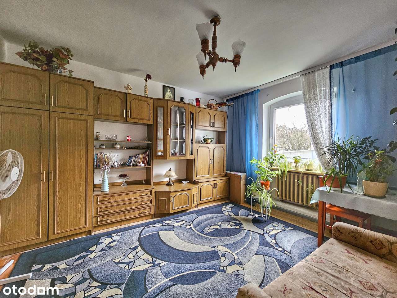 3 pokoje | Wysoki Parter | Praktyczny układ pomieszczeń-2