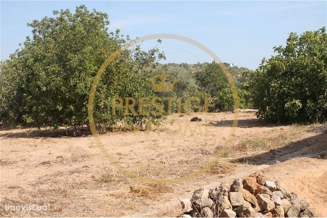 Terreno com viaabilidade de comstrução  e 3930m2 perto de Albufeira