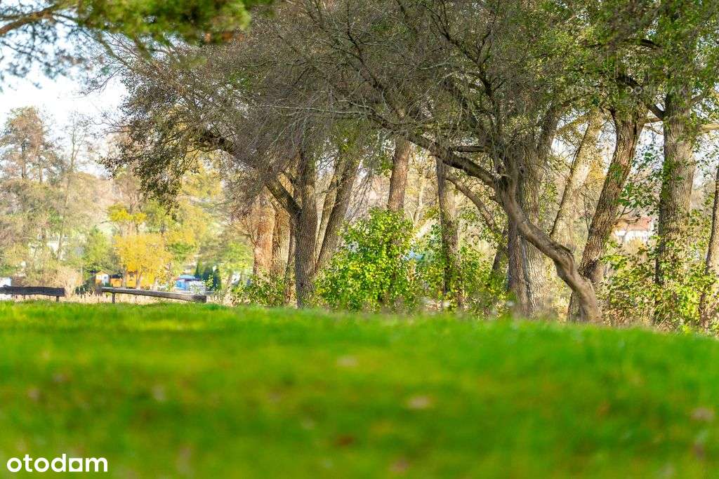 Malowniczo położona działka - jezioro Lubie-16