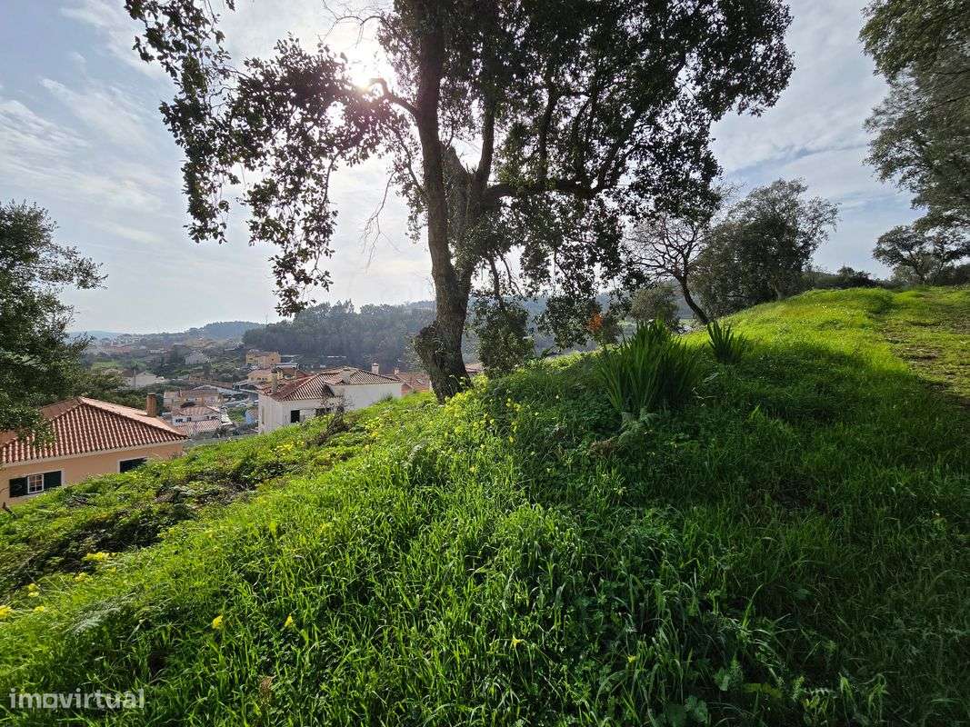 Terreno  para venda - Grande imagem: 5/15