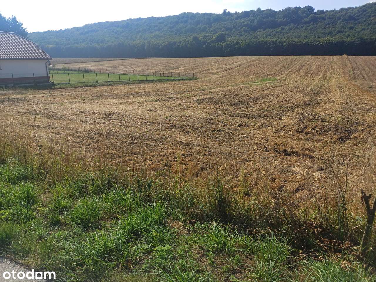Klonów, gmina Racławice - piękne działki budowlane na sprzedaż-6