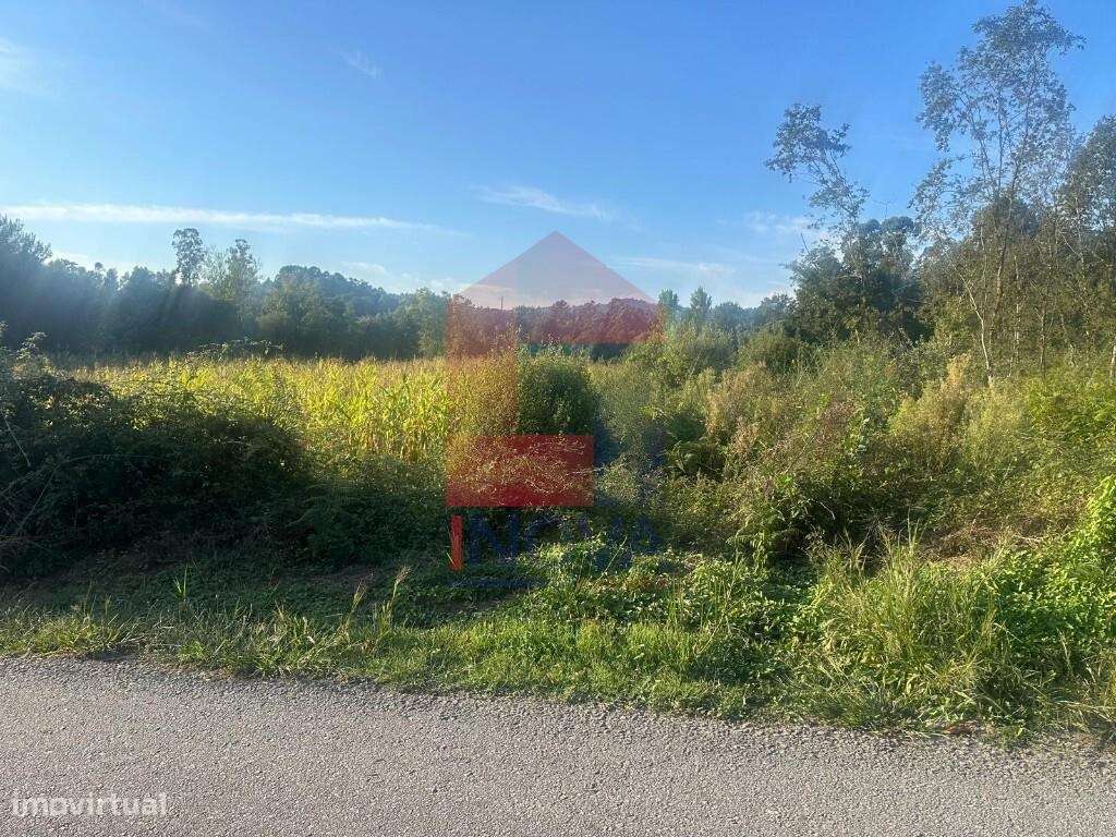 Terreno Agrícola, Turiz - Grande imagem: 5/20