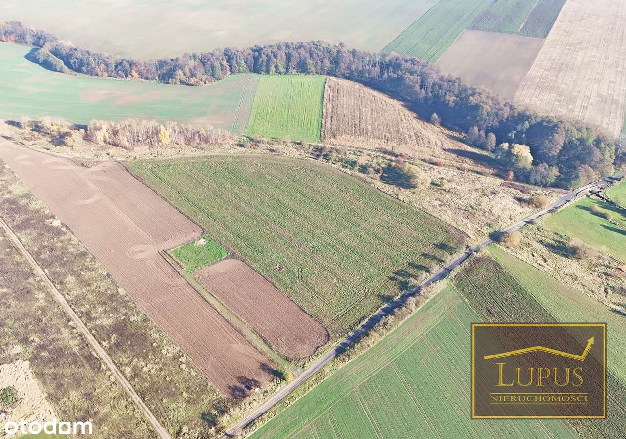 Działki budowlane w Lubowie - Pełny obrazek: 4/9