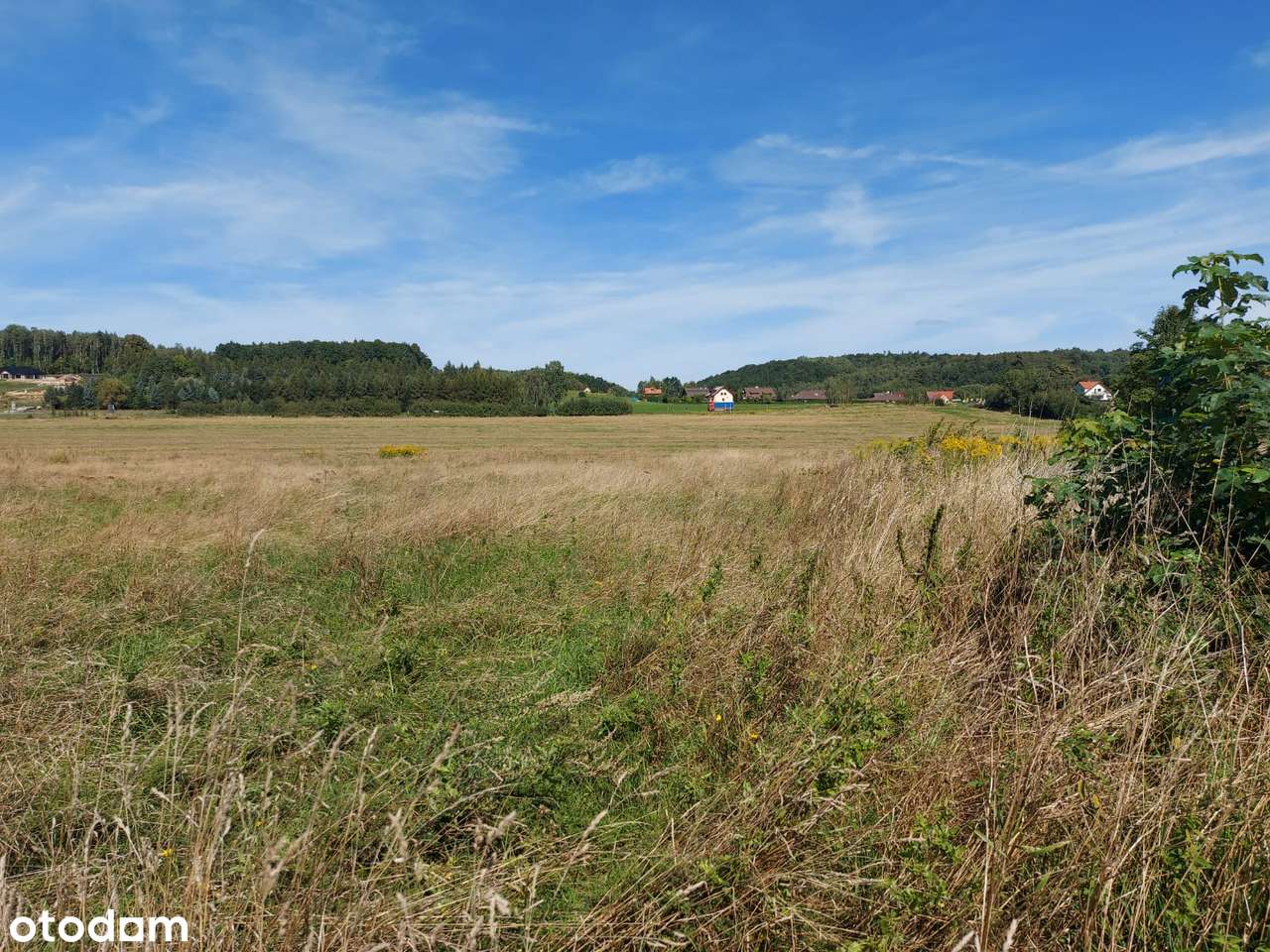 Działki budowlane w Borzyszewie k. Gryfic | 9258 m² | WZ | Media. - Pełny obrazek: 4/4