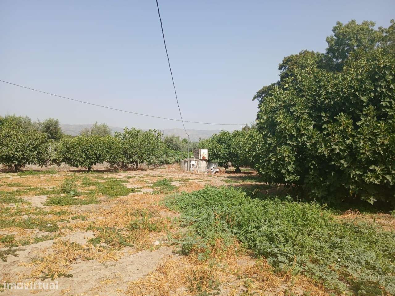 Quinta - Grande imagem: 4/16