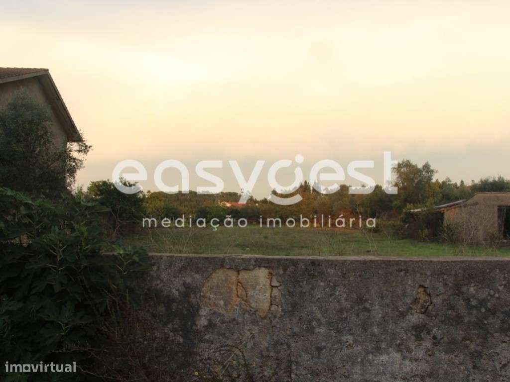 Terreno para construção,com 3686 m2 em Orelhudo-Cernache. - Grande imagem: 5/10