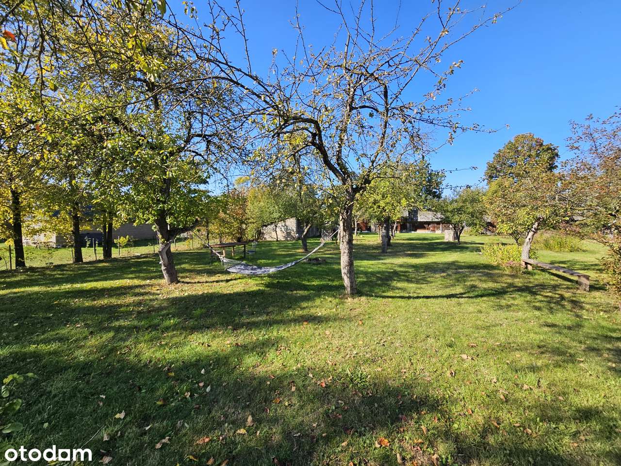 Dom z działką 2974 m2 we wśi Chytra. 2 kilometry od Hajnówki! - Pełny obrazek: 5/11