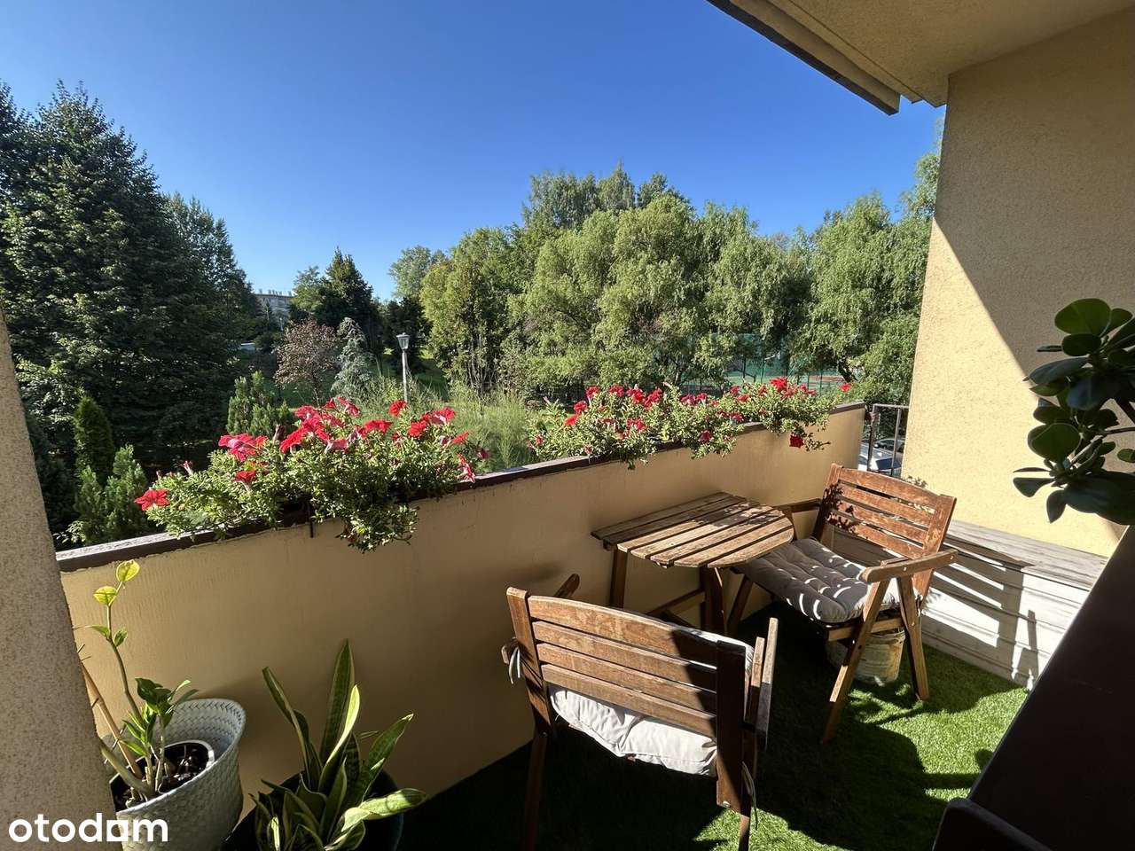 3 pokoje| osobna kuchnia| loggia|do wejścia!| tramwaj-13