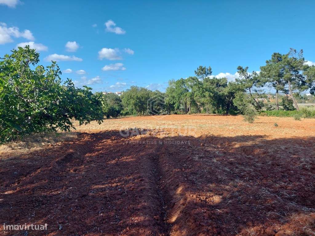 Quinta, Silves, Alcantarilha e Pêra, Algarve - Grande imagem: 4/48