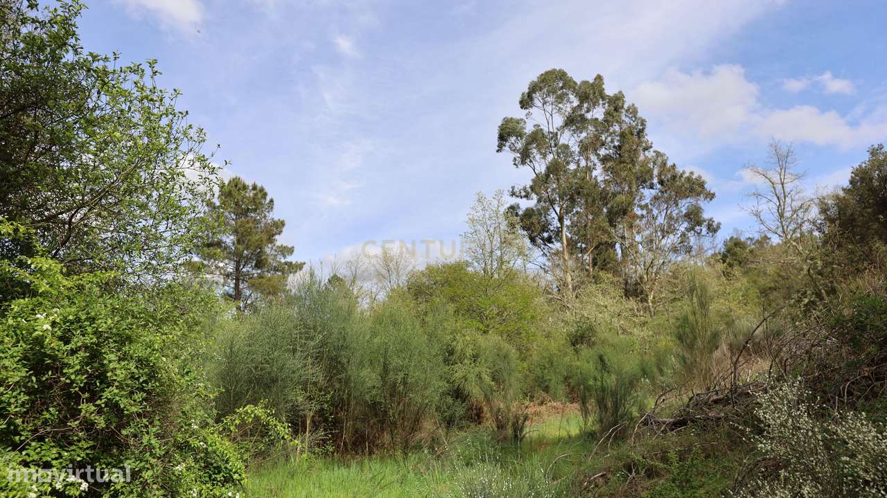 Terreno em Penalva Castelo - Grande imagem: 5/6
