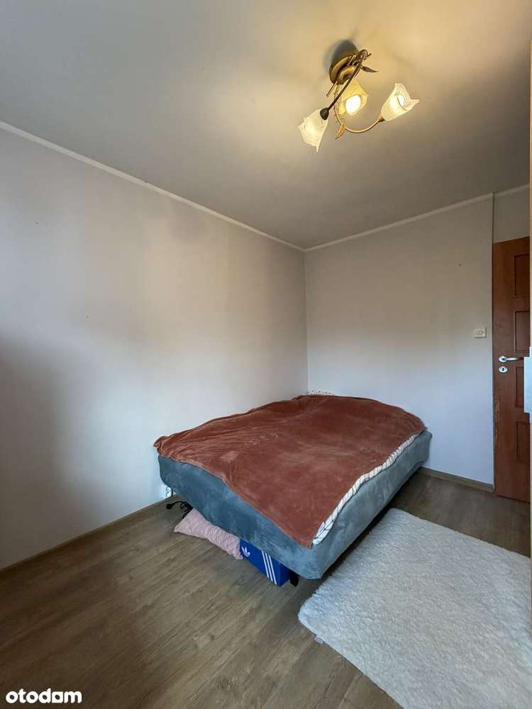 Ok.ul.Kłodnickiej/3pok/rozkładowe/loggia/dwustronne/piwnica-4