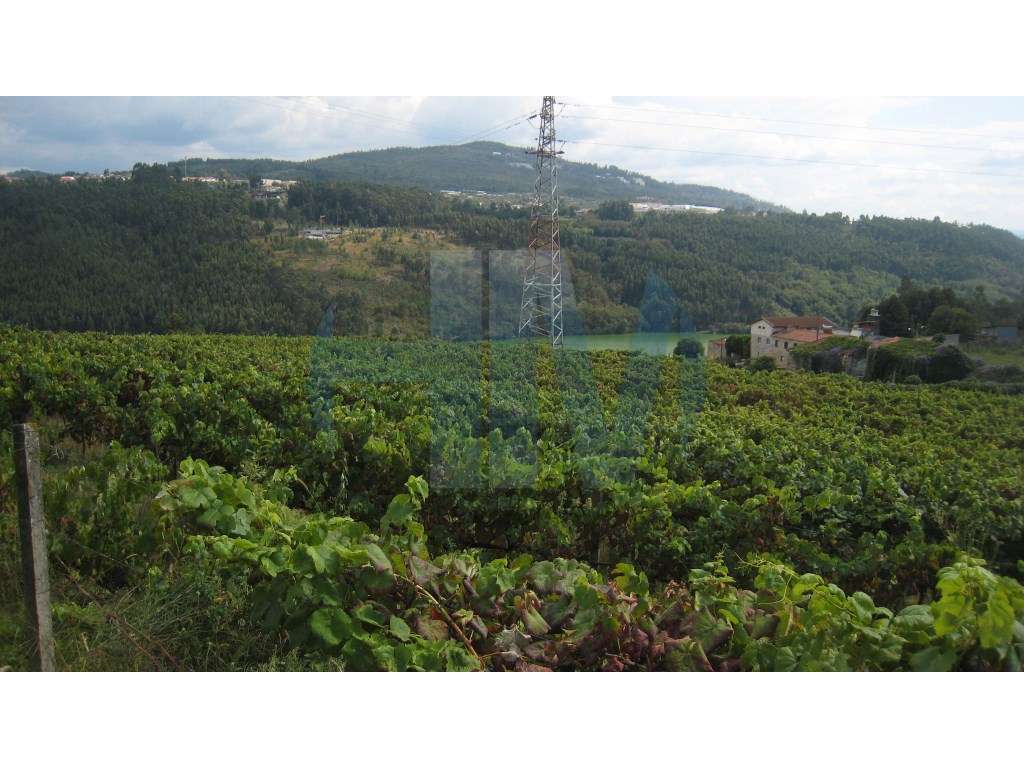 Quinta Histórica com Vista Deslumbrante sobre o Rio Tâmega-19